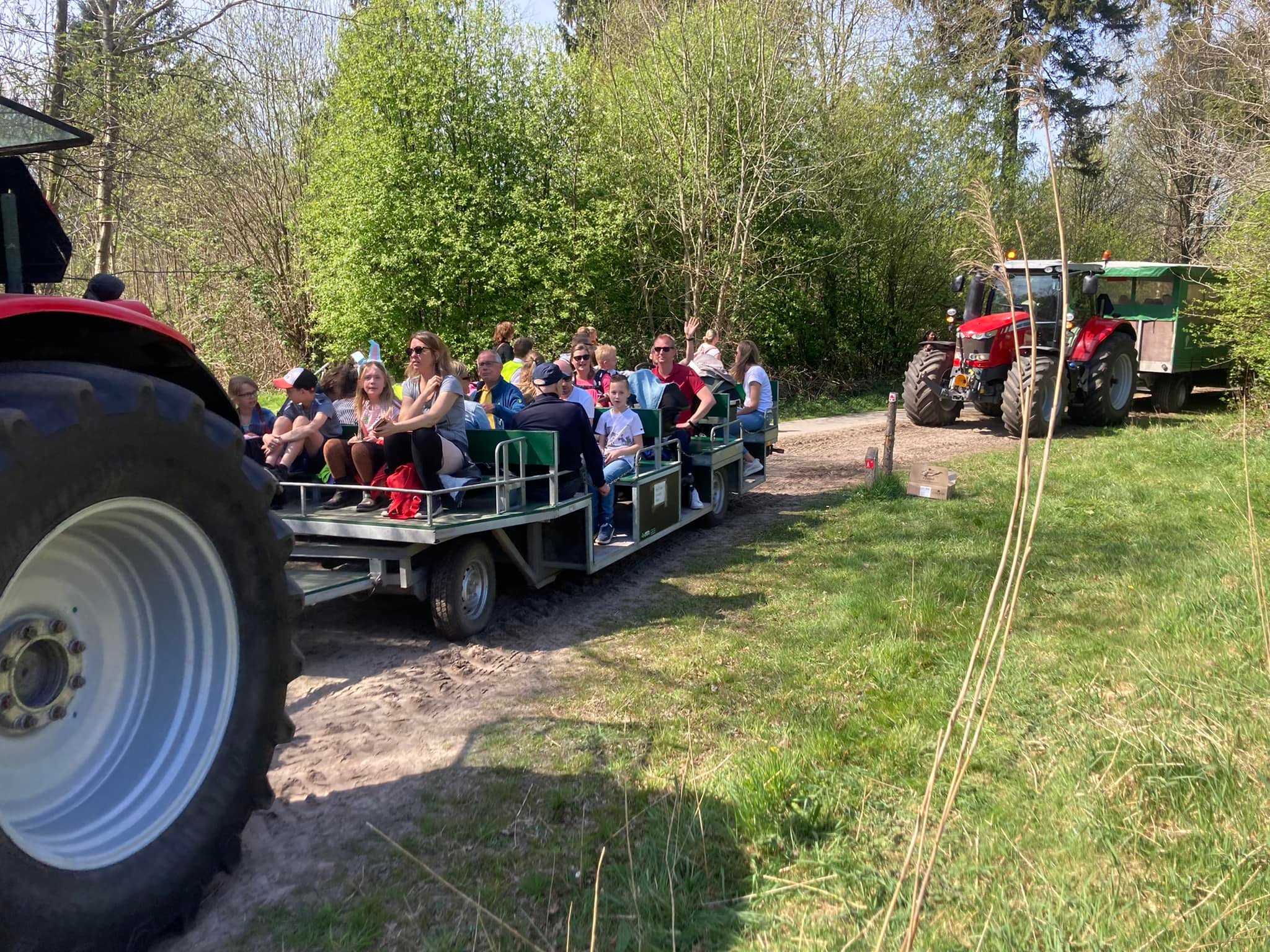 Transport door bos