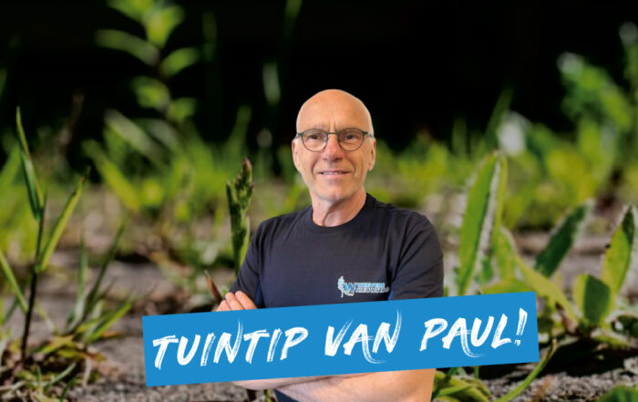 Header tuintip van Paul