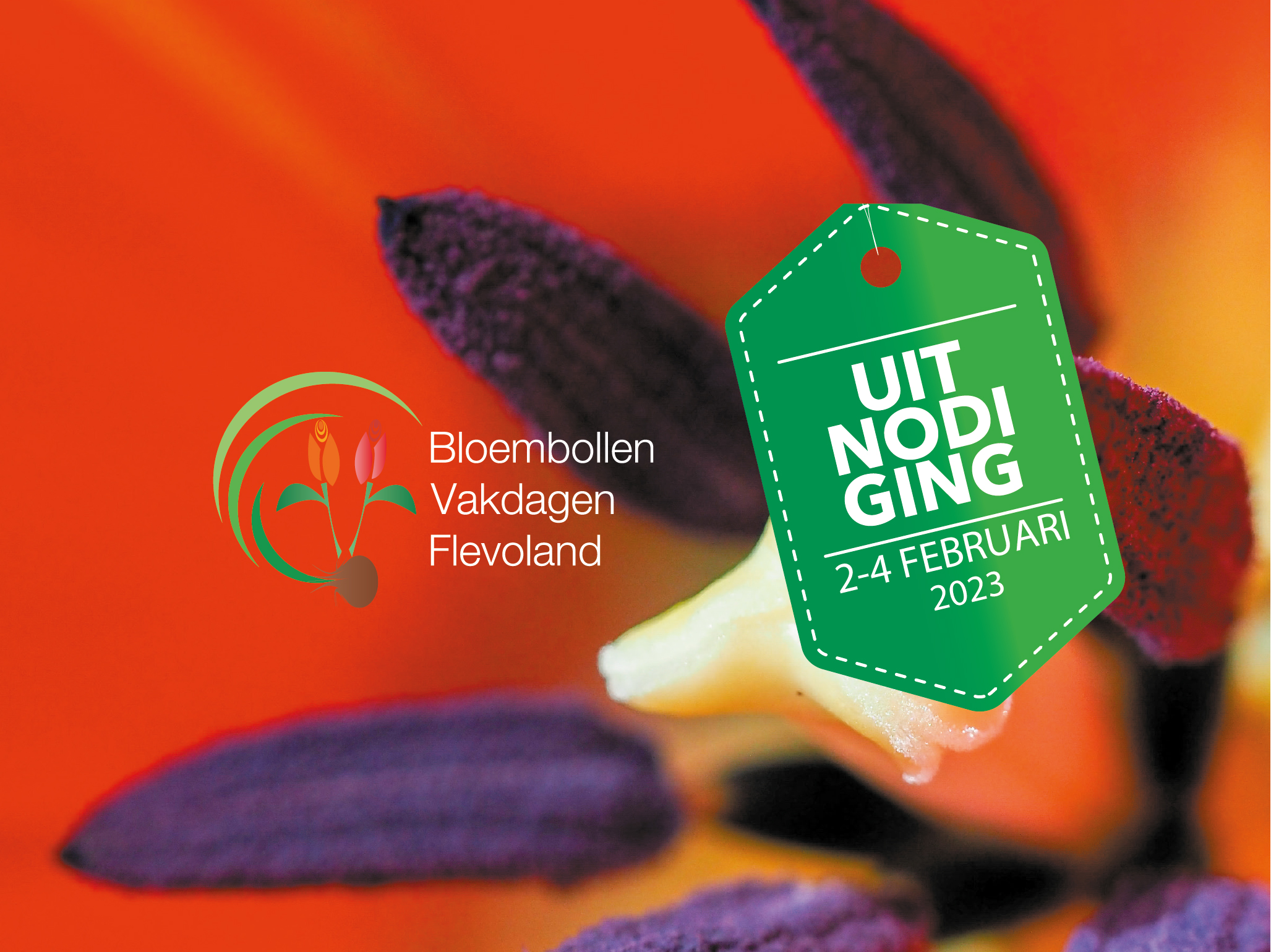 BLOEMBOLLENVAKDAGEN header