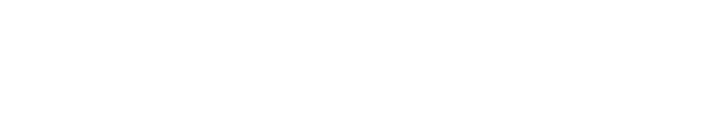 Airrex logo wit